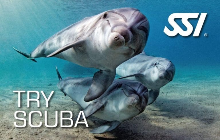 Bautizos de Buceo en Murcia
