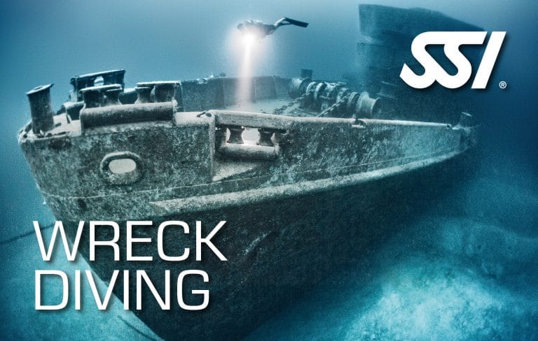 Wreck Diving Buceo en Pecios