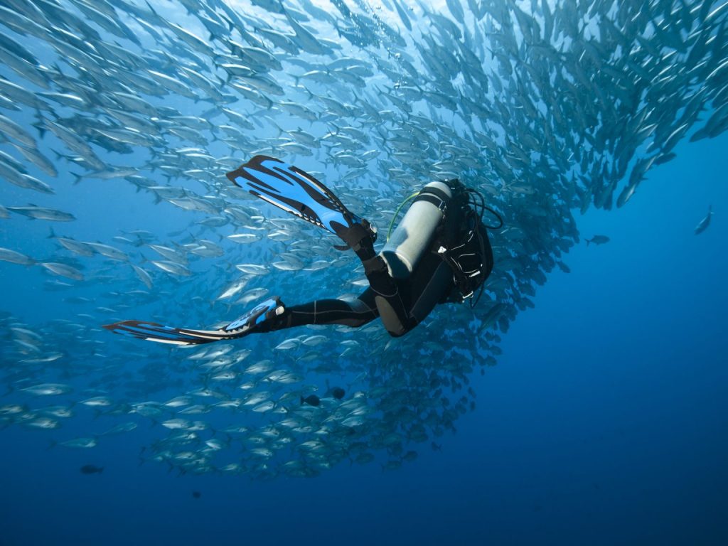padi vs ssi
