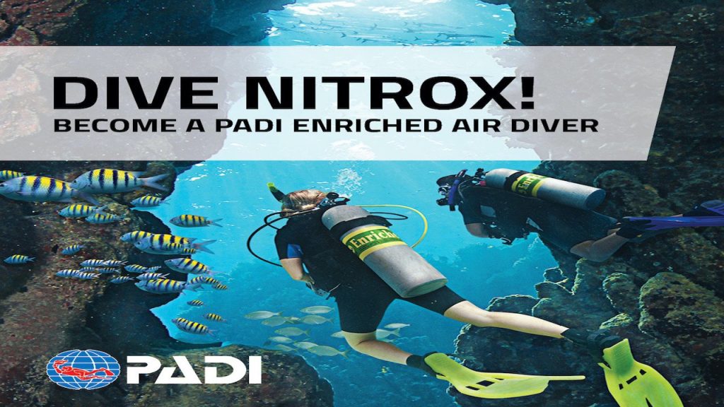 nitrox diver