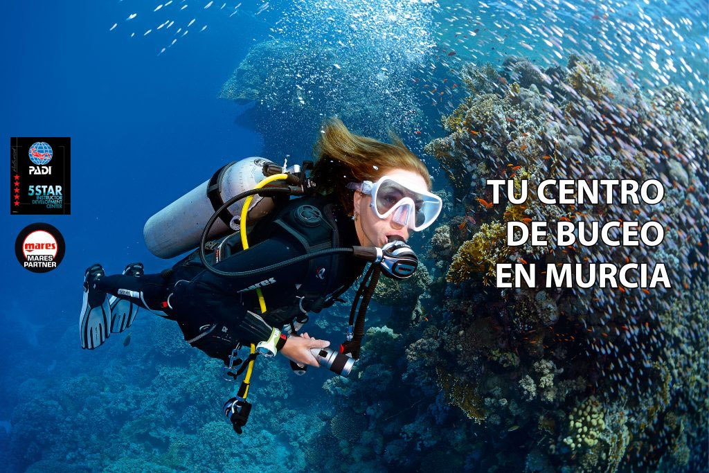bucear en murcia