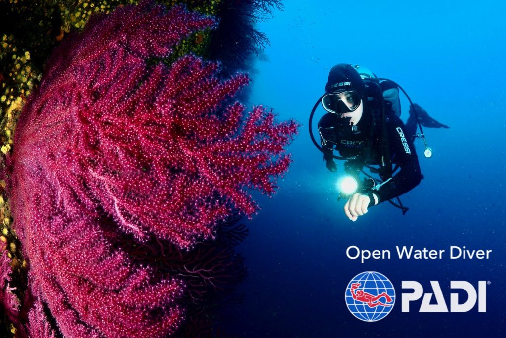 open water diver padi