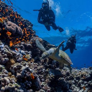 2 x PADI DISCOVER SCUBA DIVING (Bautismo)