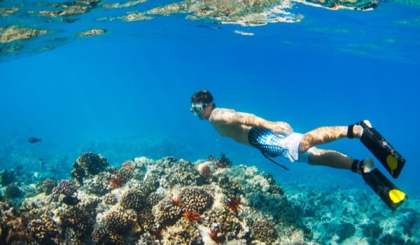 Práctica de snorkel en Murcia