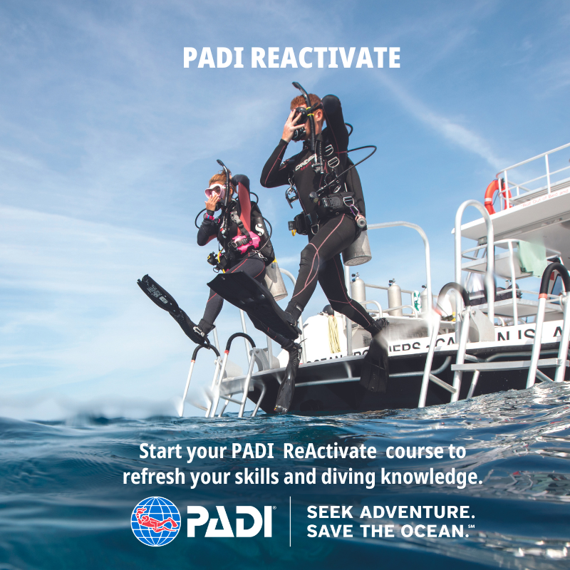 reactivate padi