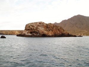 guía de buceo - cueva lobos