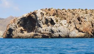 guía de buceo - isla de paco