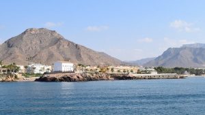 guía de buceo - skull