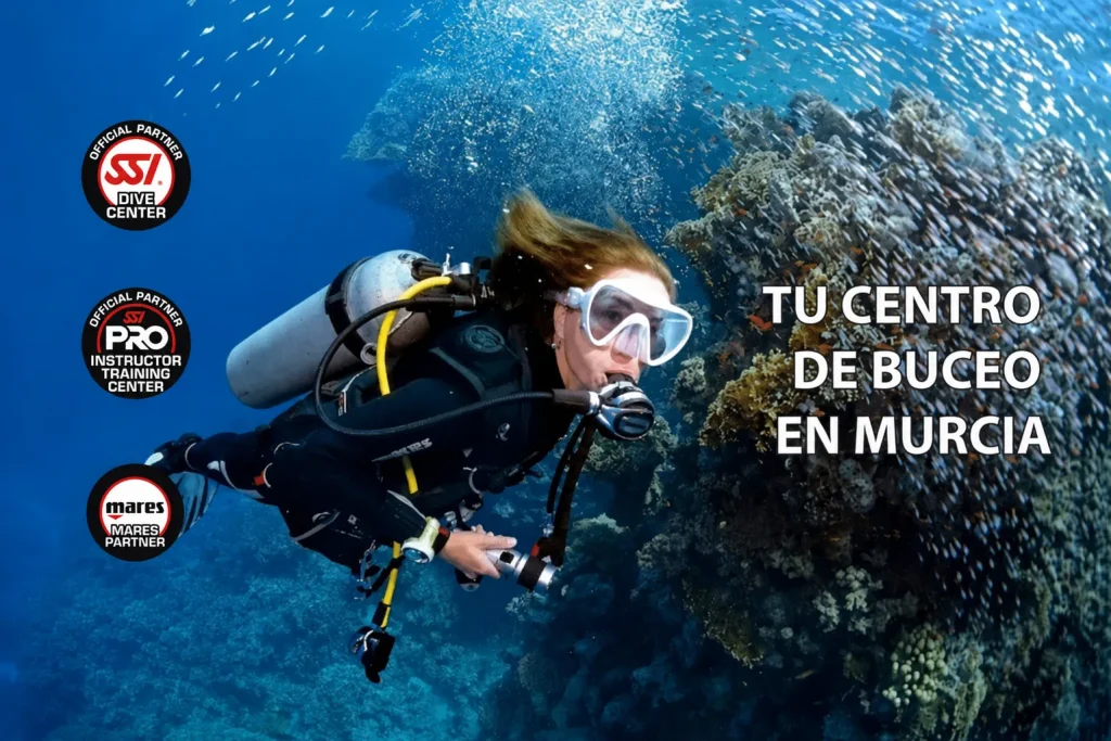 bucear en murcia