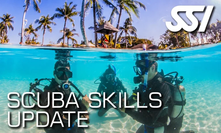 Refresco de Buceo Scuba Skills Update
