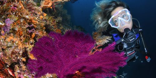 Curso SSI Open Water Diver