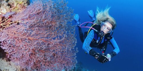 basic diver