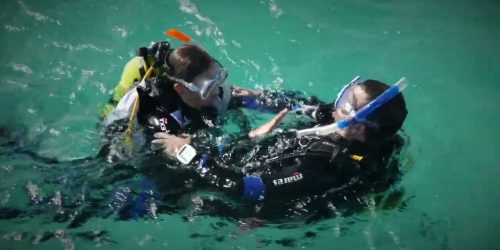 Diver Stress and Rescue