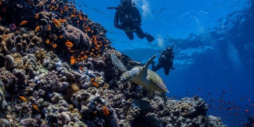 Primera experiencia de buceo en Mazarrón