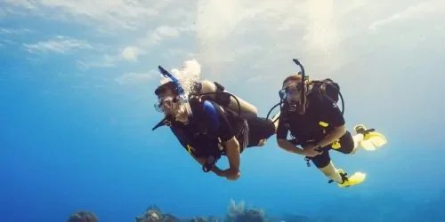 scuba diver